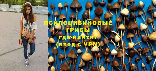 таблы Богородицк