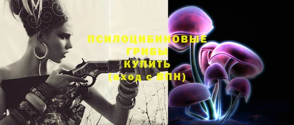 прущий лед Богородск