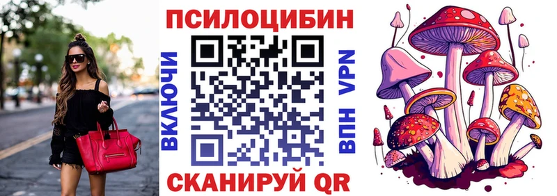Галлюциногенные грибы Psilocybe хочу наркоту Медногорск